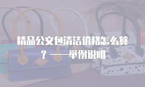 精品公文包清洁价格怎么算？&mdash;&mdash;举例说明
