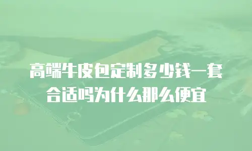高端牛皮包定制多少钱一套合适吗为什么那么便宜