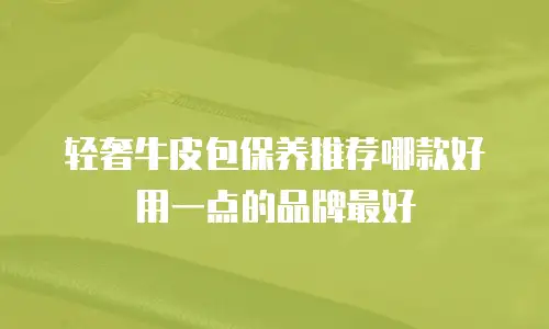 轻奢牛皮包保养推荐哪款好用一点的品牌最好