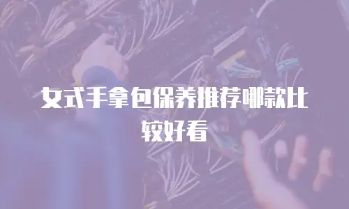 女式手拿包保养推荐哪款比较好看