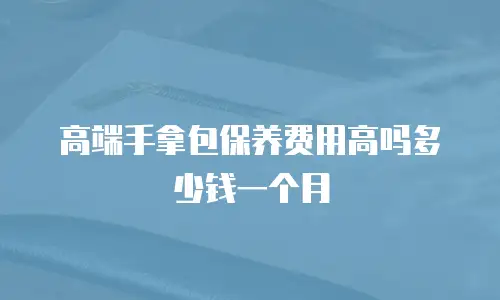 高端手拿包保养费用高吗多少钱一个月