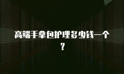 高端手拿包护理多少钱一个？