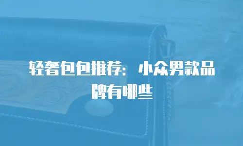 轻奢包包推荐：小众男款品牌有哪些