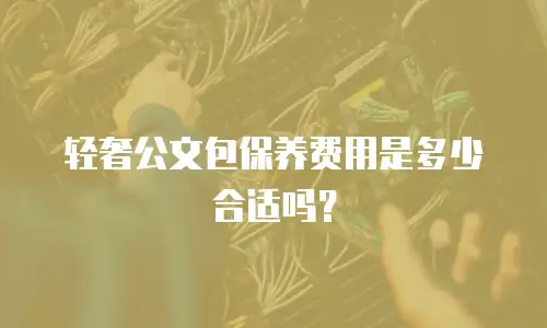 轻奢公文包保养费用是多少合适吗？