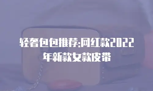 轻奢包包推荐:网红款2022年新款女款皮带