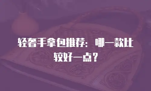 轻奢手拿包推荐：哪一款比较好一点？