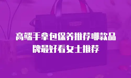 高端手拿包保养推荐哪款品牌最好看女士推荐