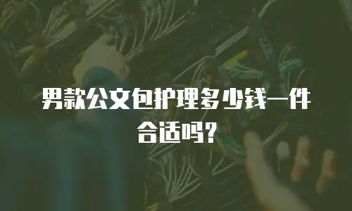 男款公文包护理多少钱一件合适吗？