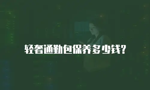轻奢通勤包保养多少钱？