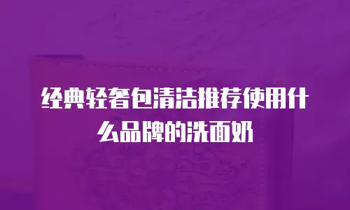经典轻奢包清洁推荐使用什么品牌的洗面奶