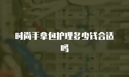 时尚手拿包护理多少钱合适吗