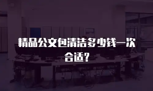 精品公文包清洁多少钱一次合适？