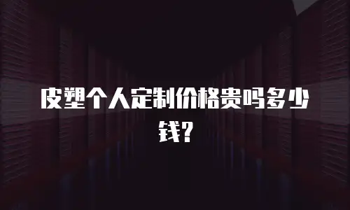 皮塑个人定制价格贵吗多少钱？