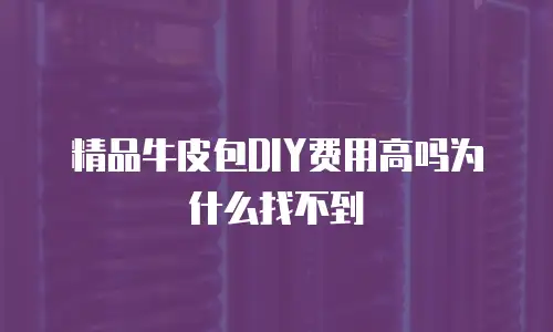精品牛皮包DIY费用高吗为什么找不到