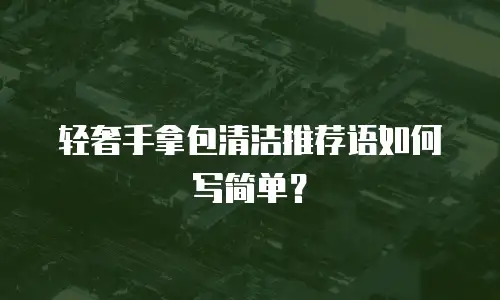 轻奢手拿包清洁推荐语如何写简单？