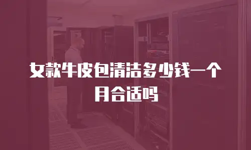 女款牛皮包清洁多少钱一个月合适吗