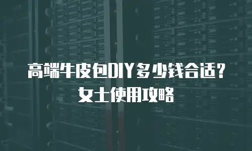 高端牛皮包DIY多少钱合适？女士使用攻略