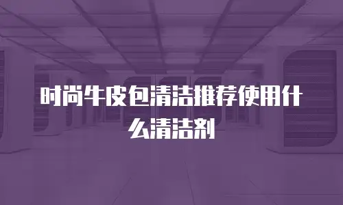 时尚牛皮包清洁推荐使用什么清洁剂