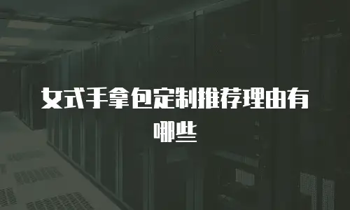 女式手拿包定制推荐理由有哪些