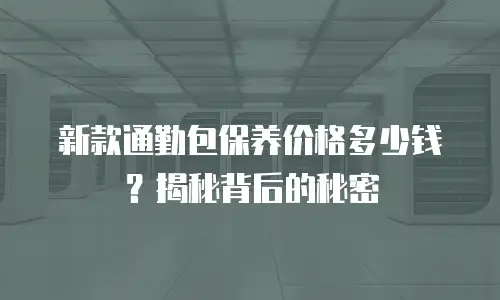 新款通勤包保养价格多少钱？揭秘背后的秘密