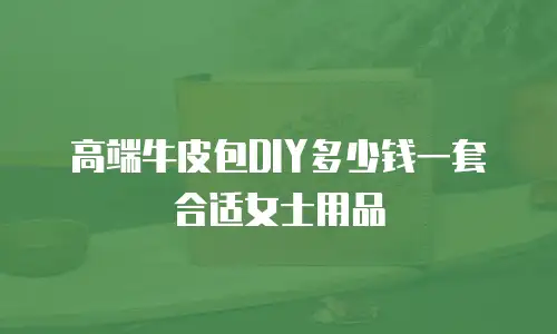 高端牛皮包DIY多少钱一套合适女士用品