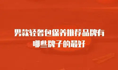 男款轻奢包保养推荐品牌有哪些牌子的最好