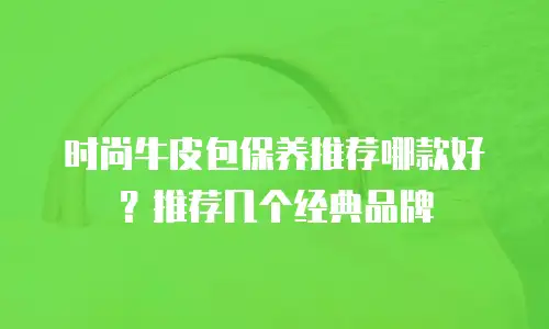 时尚牛皮包保养推荐哪款好？推荐几个经典品牌