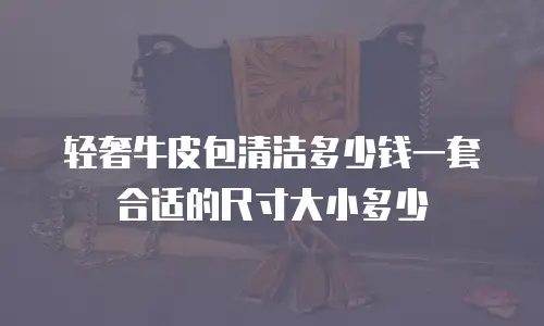 轻奢牛皮包清洁多少钱一套合适的尺寸大小多少