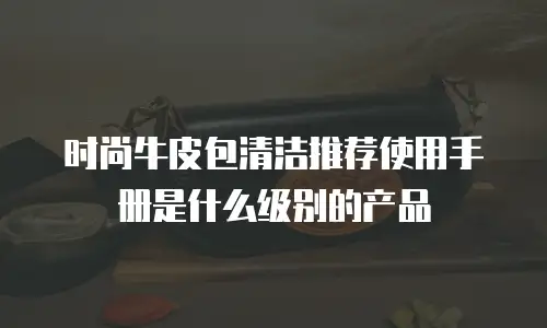 时尚牛皮包清洁推荐使用手册是什么级别的产品