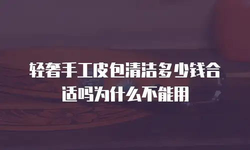 轻奢手工皮包清洁多少钱合适吗为什么不能用