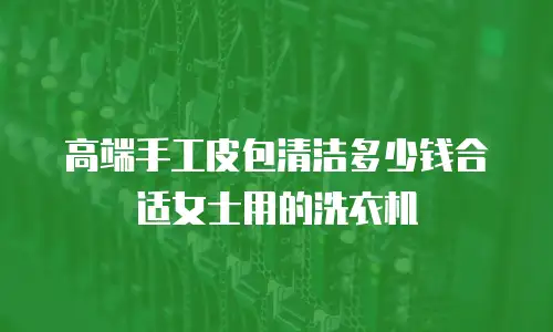 高端手工皮包清洁多少钱合适女士用的洗衣机