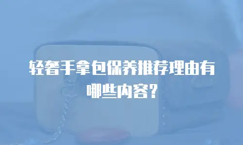 轻奢手拿包保养推荐理由有哪些内容？