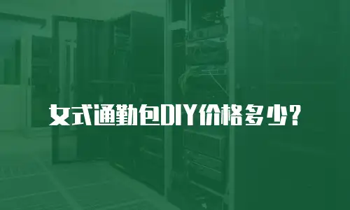 女式通勤包DIY价格多少？