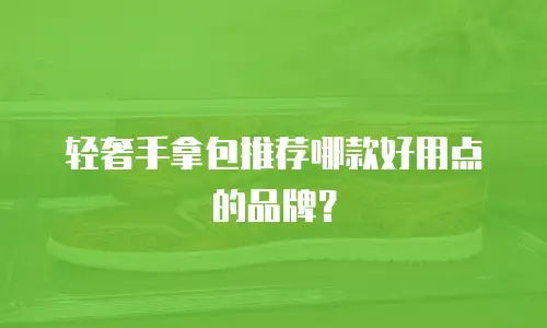 轻奢手拿包推荐哪款好用点的品牌？
