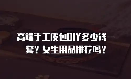 高端手工皮包DIY多少钱一套？女生用品推荐吗？