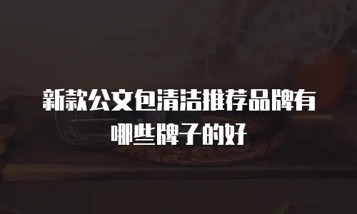 新款公文包清洁推荐品牌有哪些牌子的好