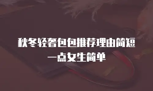 秋冬轻奢包包推荐理由简短一点女生简单