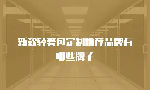 新款轻奢包定制推荐品牌有哪些牌子