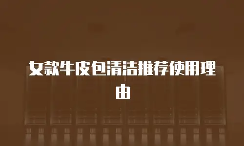 女款牛皮包清洁推荐使用理由