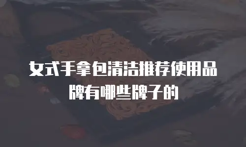 女式手拿包清洁推荐使用品牌有哪些牌子的