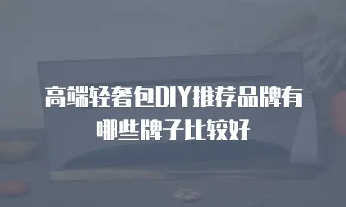 高端轻奢包DIY推荐品牌有哪些牌子比较好
