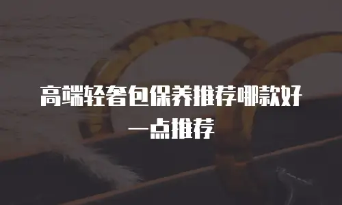 高端轻奢包保养推荐哪款好一点推荐