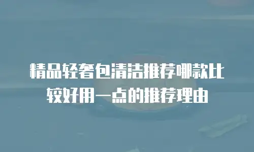 精品轻奢包清洁推荐哪款比较好用一点的推荐理由