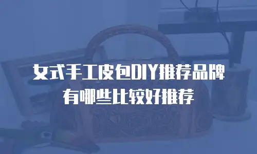 女式手工皮包DIY推荐品牌有哪些比较好推荐