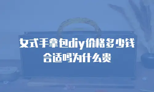 女式手拿包diy价格多少钱合适吗为什么贵