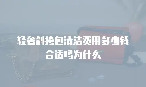 轻奢斜挎包清洁费用多少钱合适吗为什么