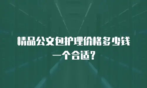 精品公文包护理价格多少钱一个合适？
