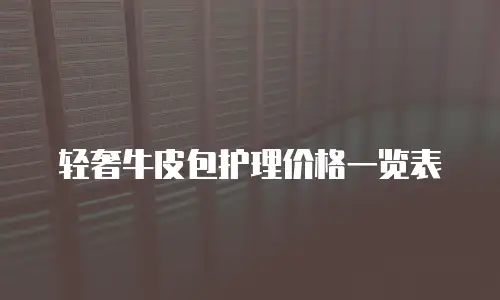 轻奢牛皮包护理价格一览表