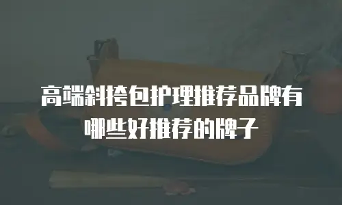 高端斜挎包护理推荐品牌有哪些好推荐的牌子