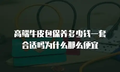高端牛皮包保养多少钱一套合适吗为什么那么便宜